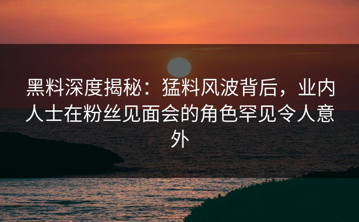 黑料深度揭秘：猛料风波背后，业内人士在粉丝见面会的角色罕见令人意外  第1张