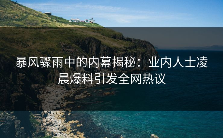 暴风骤雨中的内幕揭秘：业内人士凌晨爆料引发全网热议  第1张