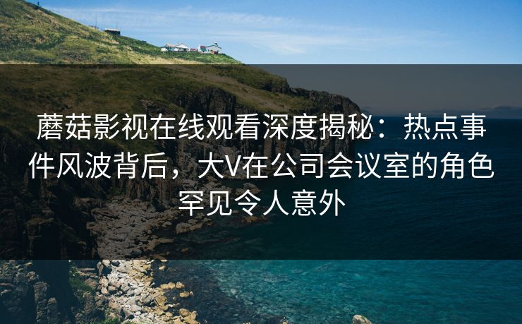 蘑菇影视在线观看深度揭秘：热点事件风波背后，大V在公司会议室的角色罕见令人意外