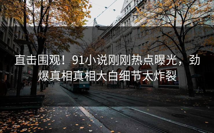 直击围观！91小说刚刚热点曝光，劲爆真相真相大白细节太炸裂  第1张